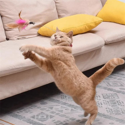 Guaranteed Fun: Interactive Toy with Feather and Bell for Cats!