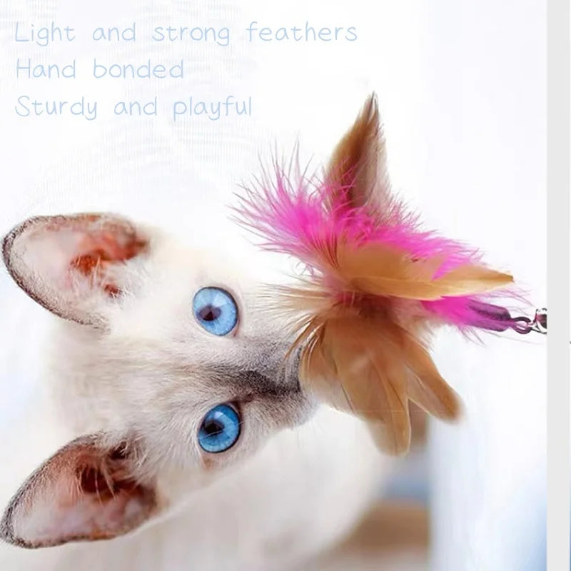 Guaranteed Fun: Interactive Toy with Feather and Bell for Cats!