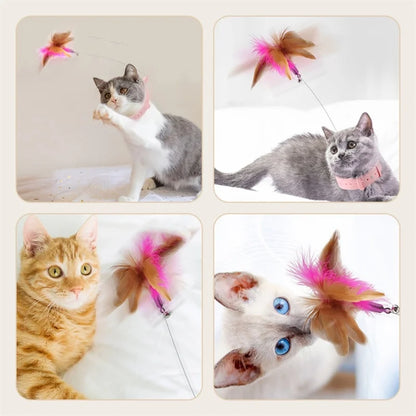 Guaranteed Fun: Interactive Toy with Feather and Bell for Cats!